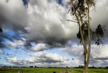 乒乓球——亚洲杯：黄友政无缘四强.