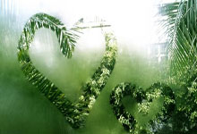 NBA采访丨字母哥：感谢詹姆斯说我在70年代一场能得250分 其实是275分.